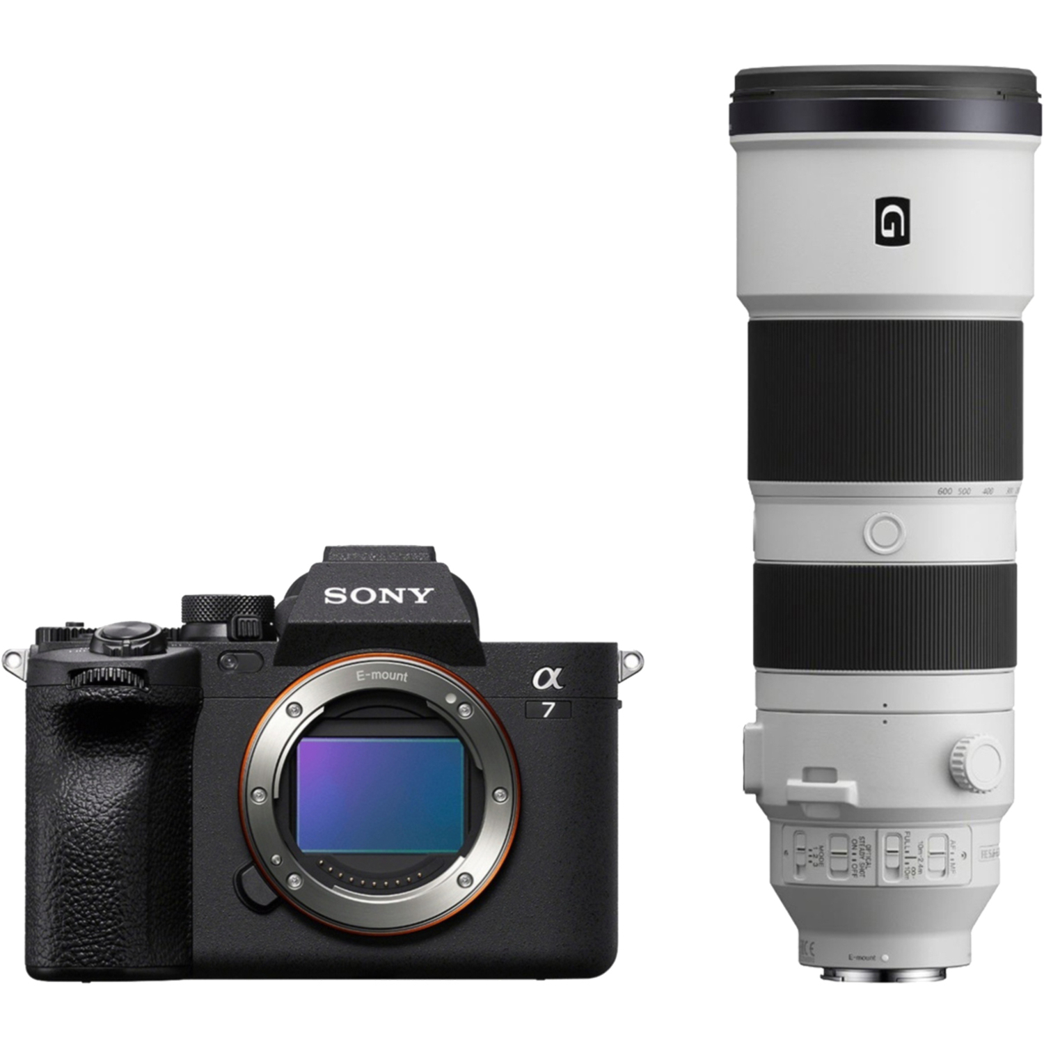 Sony Alpha 7 IV mit FE 200-600mm F5.6-6.3 G OSS