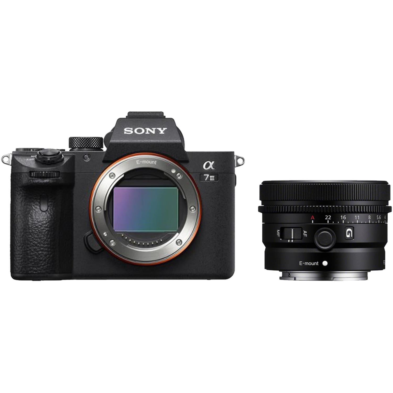 Sony Alpha 7 III mit FE 50mm F2.5 G