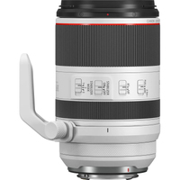 Canon EOS R6 Mark II mit RF 70-200mm F2.8L IS USM