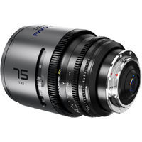 DZOFILM PAVO 2X ANAMORPHIC 6-Lens Kit 28/32/40/55/75/100mm T2.1/T2.4 Blue Coating Metric für PL/EF-Mount
