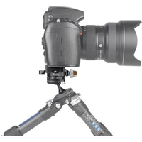 Leofoto Stativ-Kugelkopf MBC-20