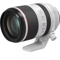 Canon EOS R6 Mark II mit RF 70-200mm F2.8L IS USM