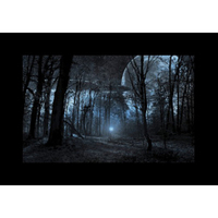 Godox AK-S02 Gobo Foliensatz 10 Stück