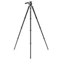 Benro Mammoth Carbon Stativ mit Stativkopf WH15