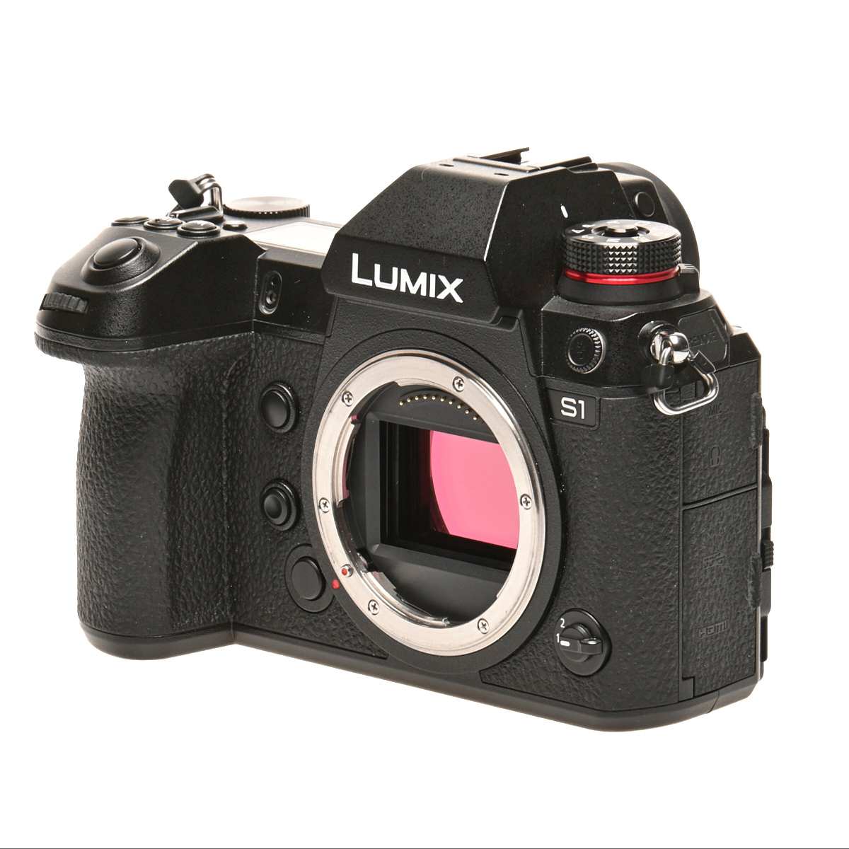 Panasonic LUMIX DC-S1 gebraucht