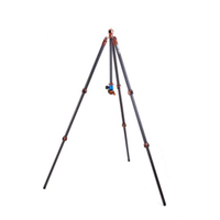 3 Legged Thing Pro 2.0 Winston mit Kugelkopf AirHed Pro bronze