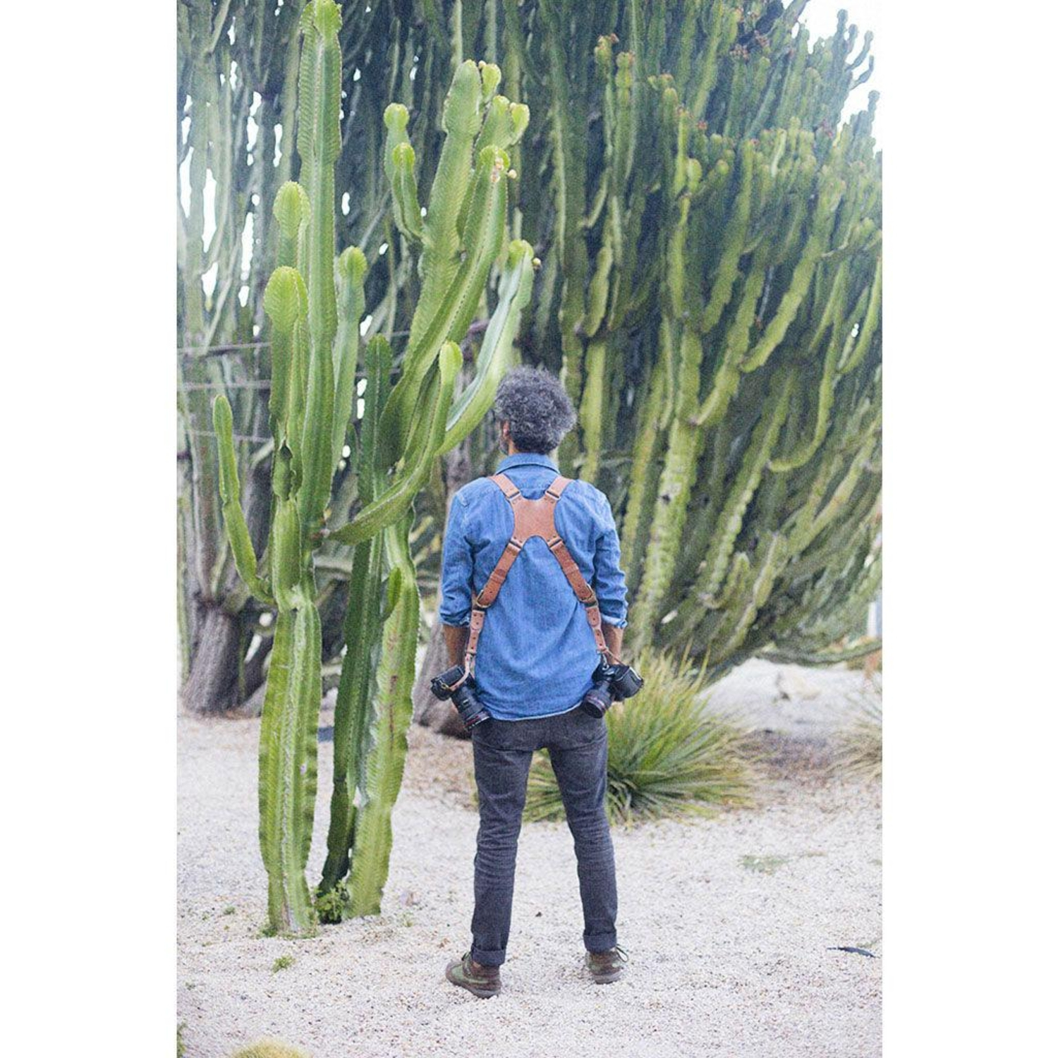 Bronkey Doppel-Kameragurt Berlin #503 Leder Tanned