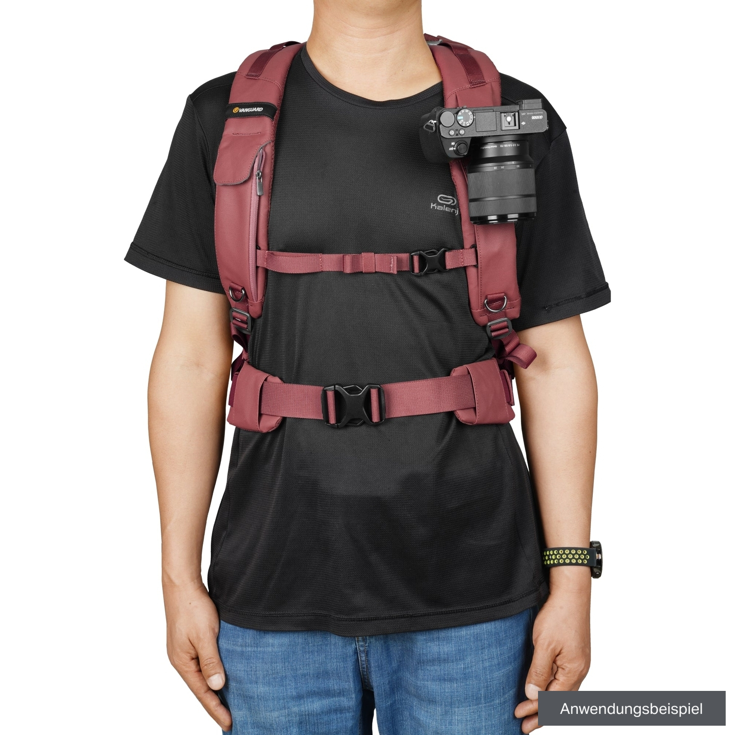 Vanguard VEO METRO B30L Rucksack magenta