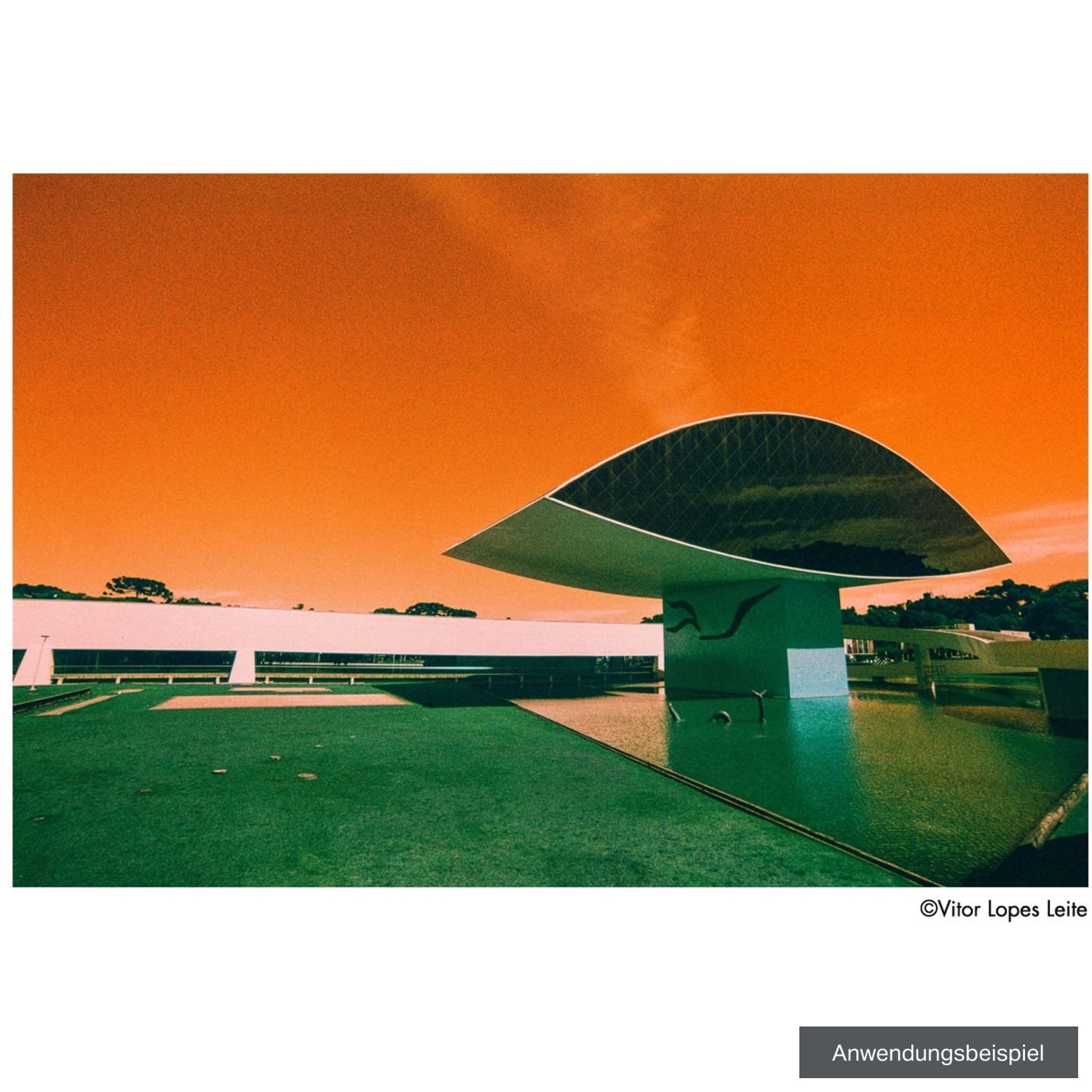 Harman Switch Azure 35mm Farbfilm