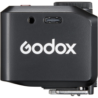Godox iT30Pro S schwarz für Sony