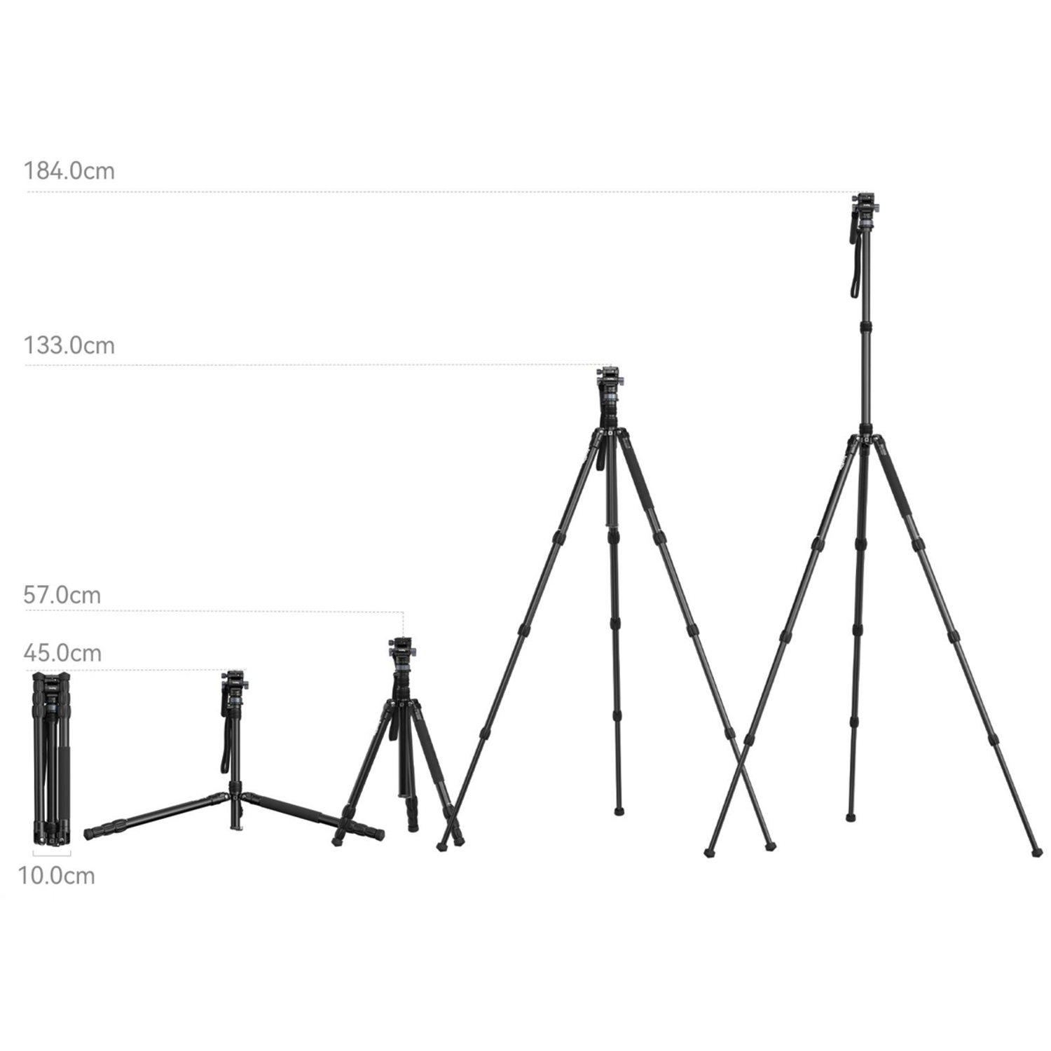 SmallRig Videostativ FreeBlazer CT190 4319