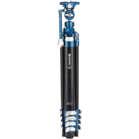 Benro CyanBird AL 2 mit FS20PROC501 Hybrid Foto/Video Kopf