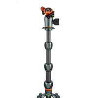 3 Legged Thing Pro 2.0 Albert Carbon grau