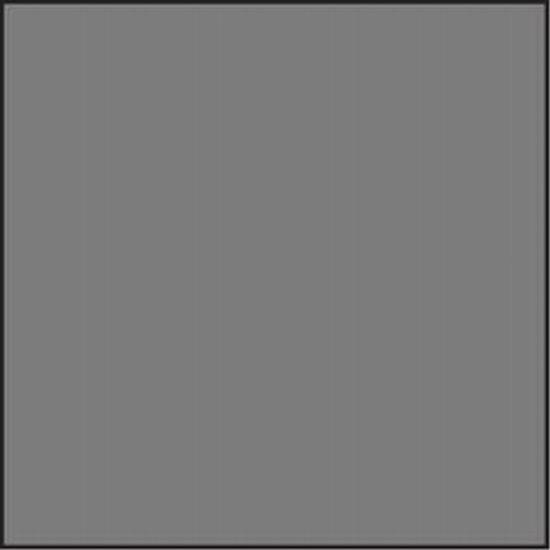 Lee Folienfilter ND-Filter 75 x 75 mm 0,6 Dichte