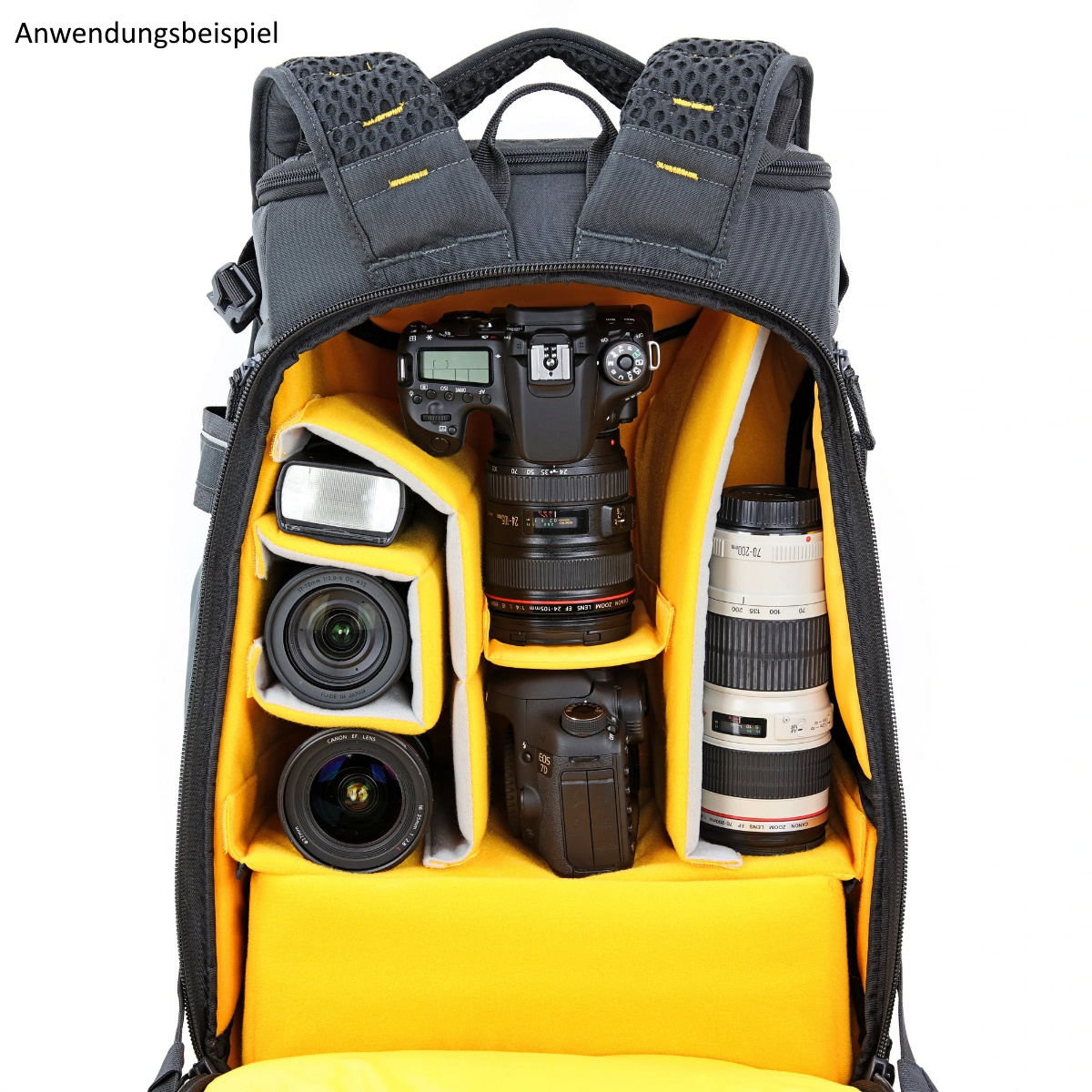 Vanguard Fotorucksack ALTA SKY 51D grau