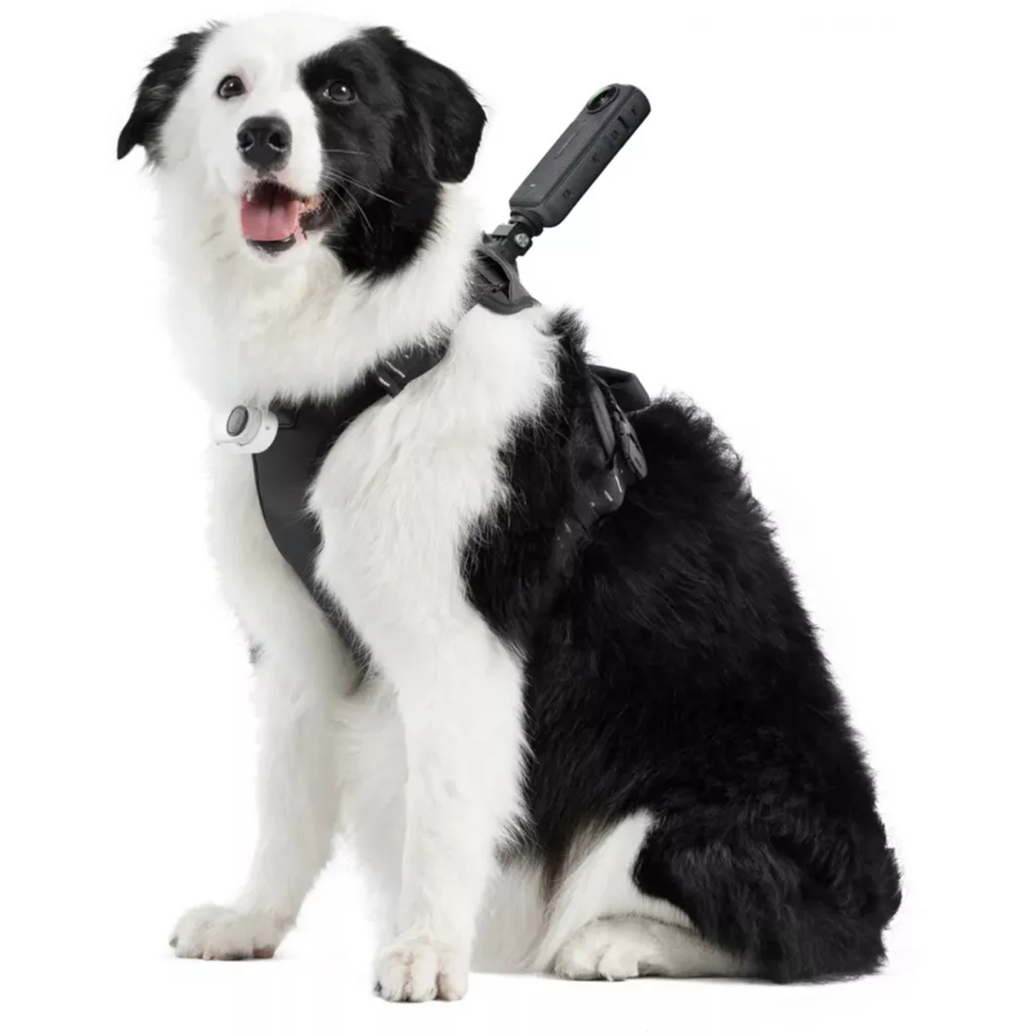 Insta360 Pet Harness Mount Size L