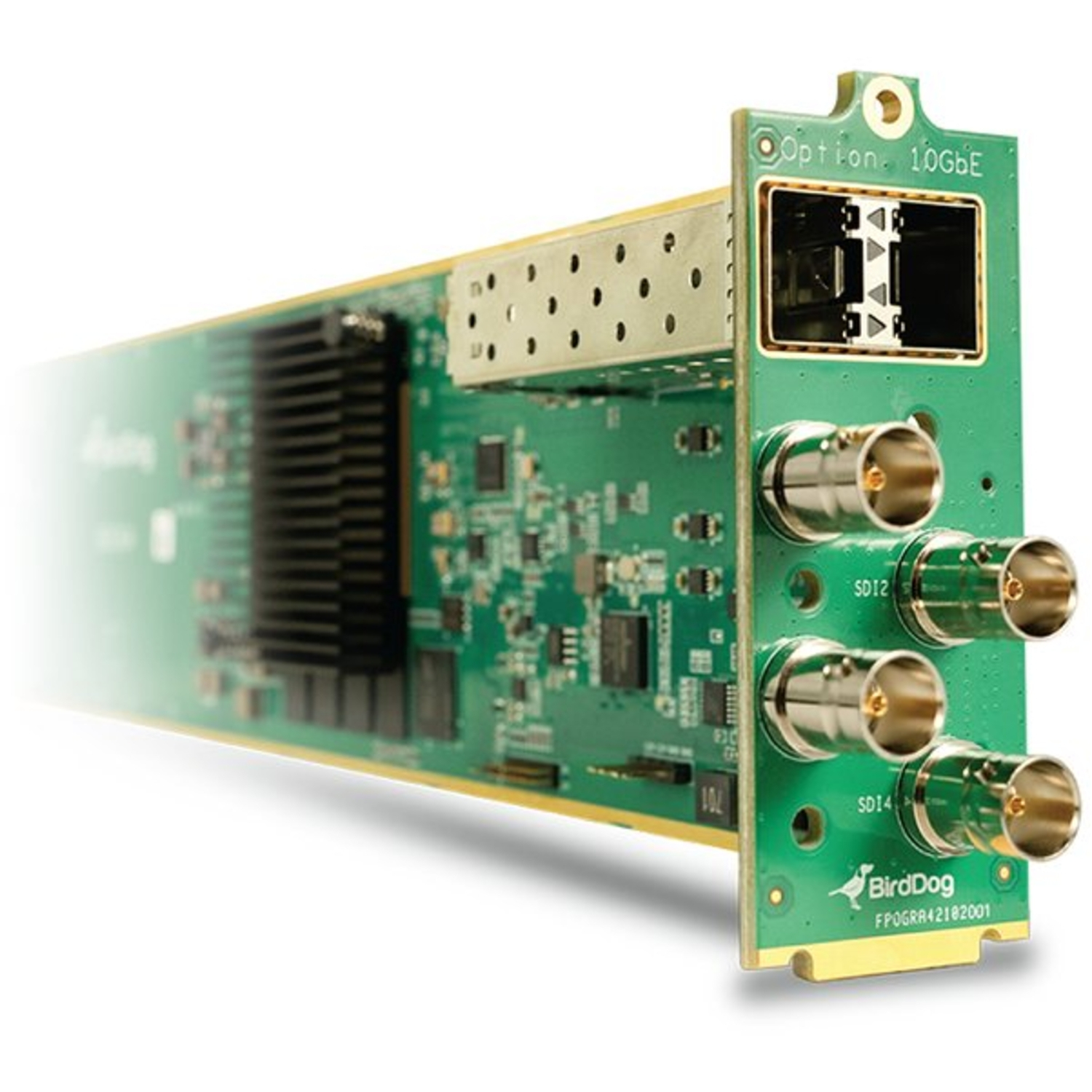 BirdDog OG4 NDI-OpenGear-Karte Encoder/Decoder