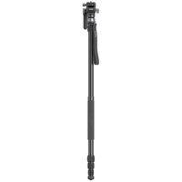SmallRig Videostativ FreeBlazer CT190 4319