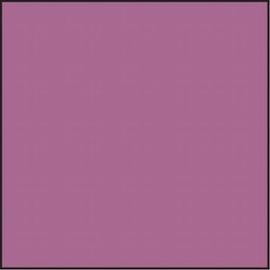 Lee Resin Leuchtstofflampen-Korrekturfilter 100 x 100mm FLD4300