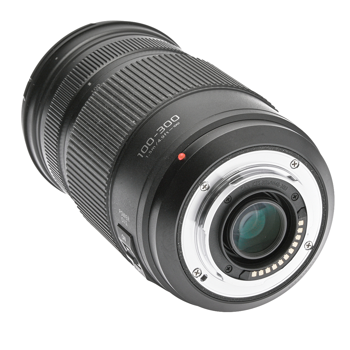 Panasonic Lumix G-VARIO 100-300mm F4-5.6 OIS