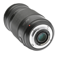 Panasonic Lumix G-VARIO 100-300mm F4-5.6 OIS