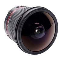 Samyang MF 8mm T3.8 Fisheye II für Nikon F-Mount gebraucht