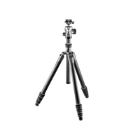 Gitzo Traveler Kit, Serie 2, 4 Segmente GT2545T