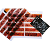 Herma Negativhüllen für 10 x 4 Streifen, transparent, 25 Hüllen