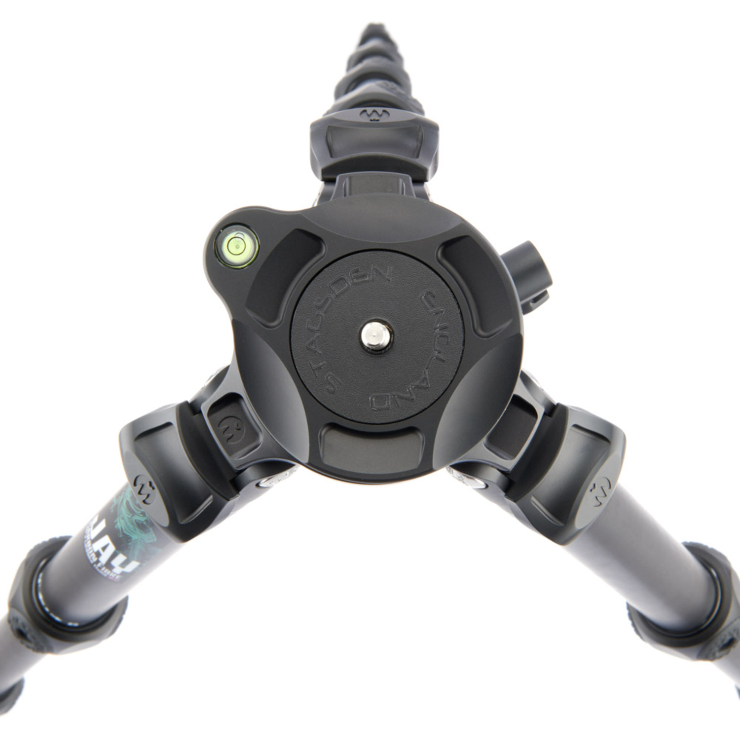 3 Legged Thing Legends Jay Black Darkness