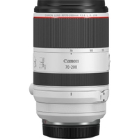 Canon EOS R6 Mark II mit RF 70-200mm F2.8L IS USM