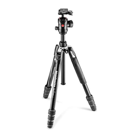 Manfrotto Befree GT Alu Kit Twist, schwarz