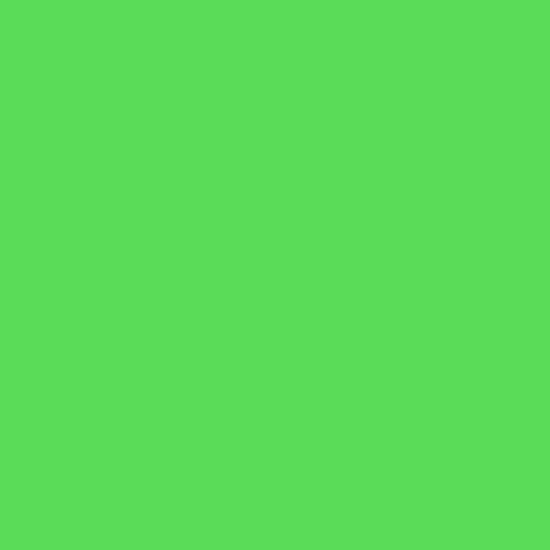 Lee Farbfilterfolie 54 x 61 cm Nr. 089 - Moss Green