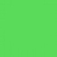 Lee Farbfilterfolie 54 x 61 cm Nr. 089 - Moss Green