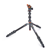 3 Legged Thing Pro 2.0 Albert Carbon grau