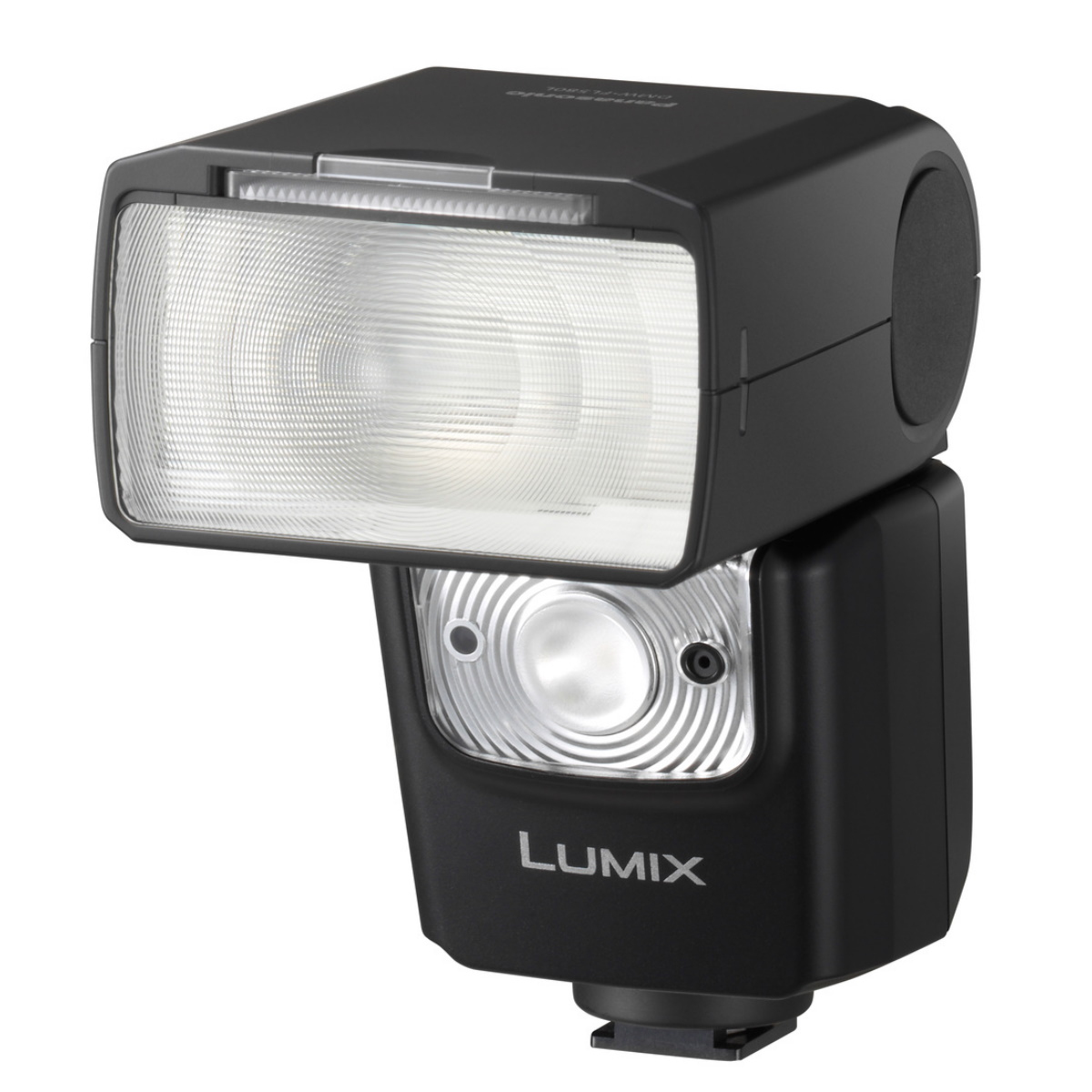 Panasonic DMW-FL580LE Blitz