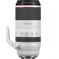 Canon RF 100-500mm F4.5-7.1L IS USM neuwertiger Rückläufer
