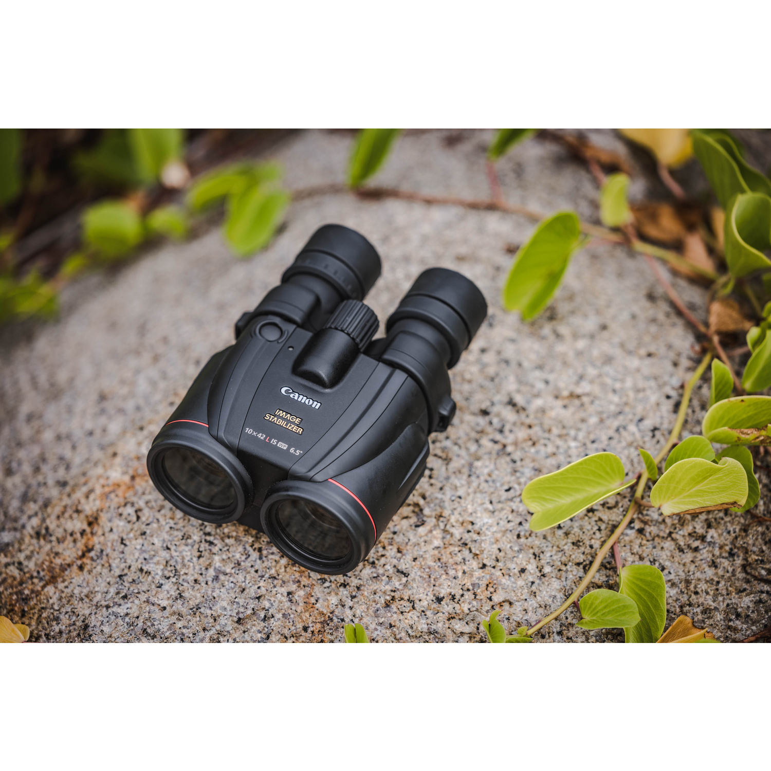Canon Fernglas 10x42L IS WP Binocular