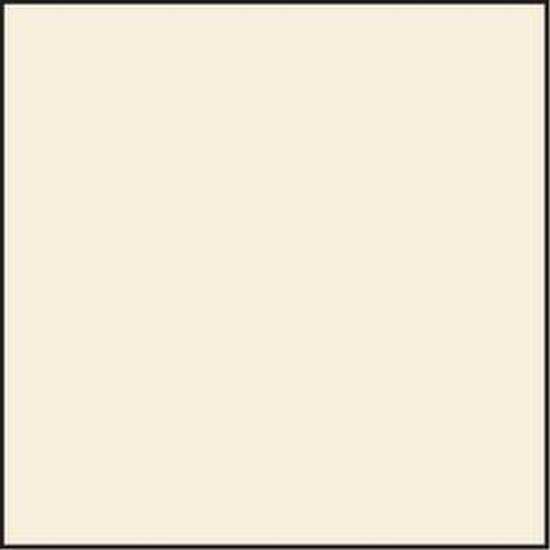 Lee Folienfilter CT-Filter 100 x 100 mm 81A