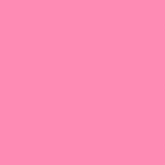 Lee Farbfilterfolien 54 x 61cm Nr. 192 Flesh Pink