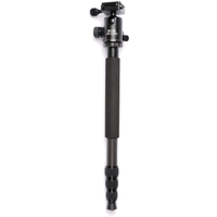 B.I.G. TMC-1300 CARBON 2in1 Stativ mit Kugelkopf BS-1300