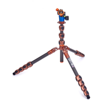 3 Legged Thing Pro 2.0 Albert Profi Reisestativ, Bronze