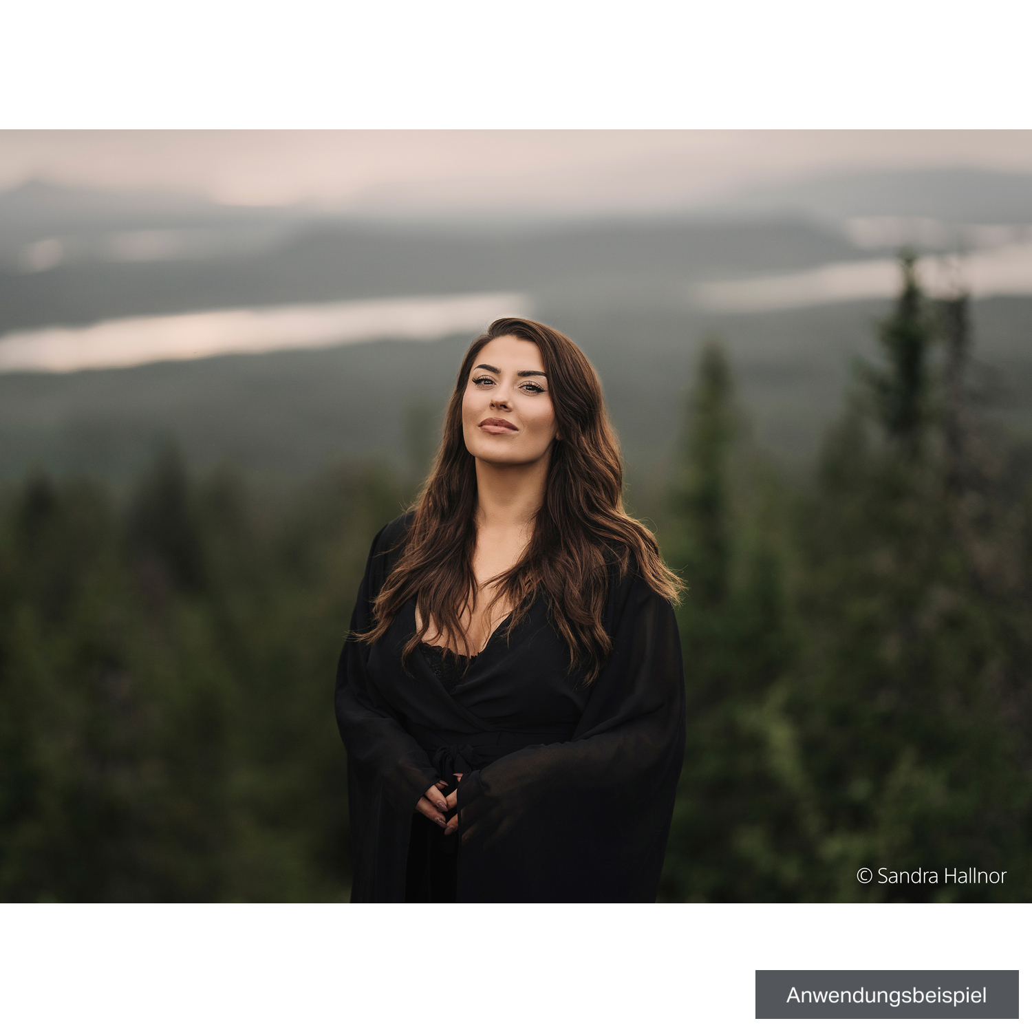 Sony FE 85mm F1.4 G Master II