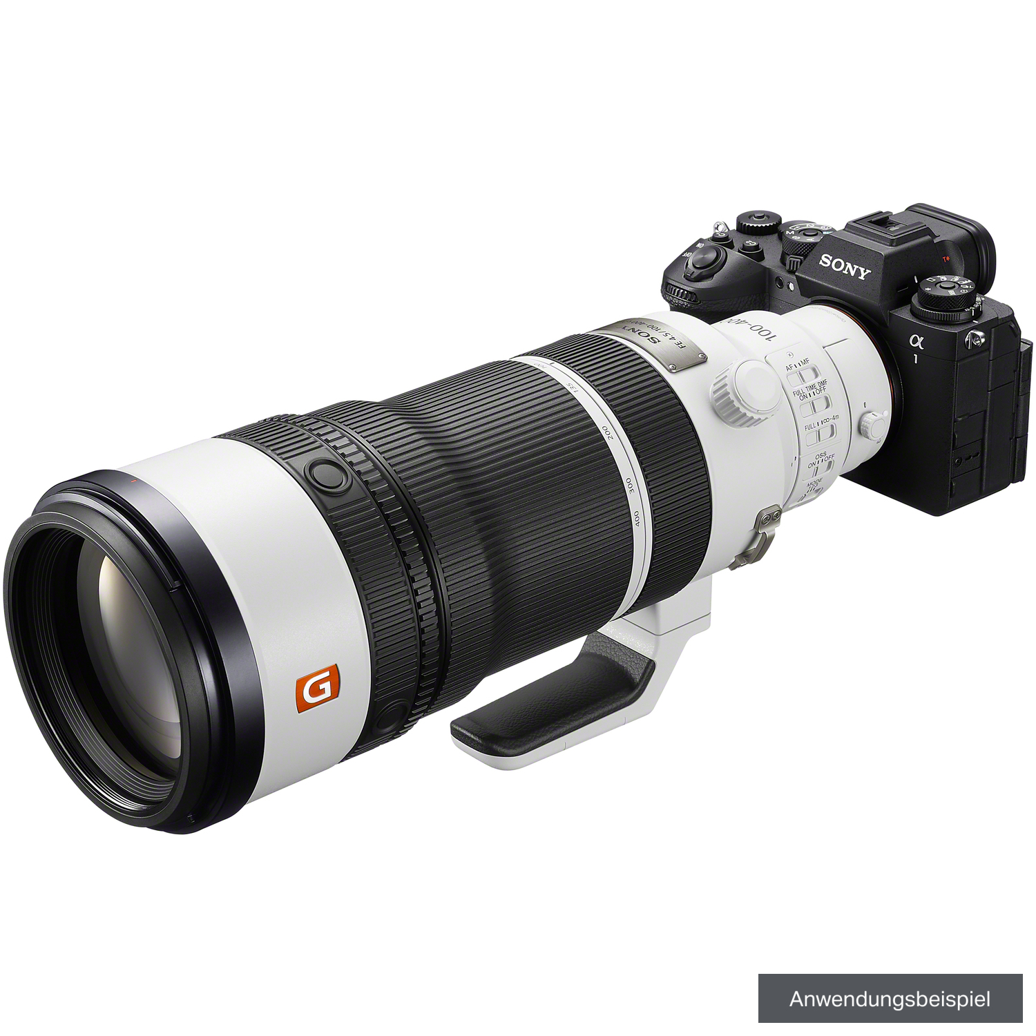 Sony FE 100-400mm F4.5 GM OSS