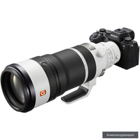 Sony FE 100-400mm F4.5 GM OSS