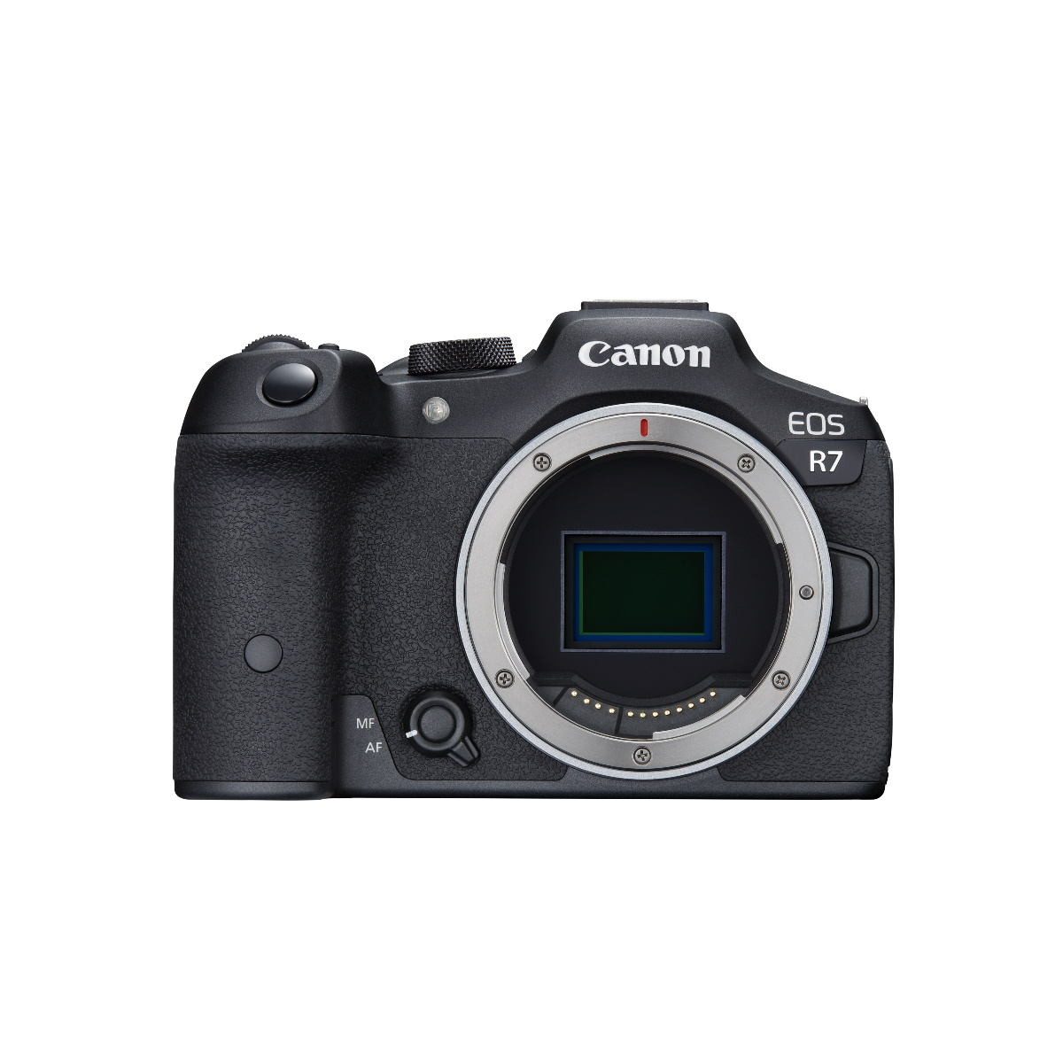 Canon EOS R7 mit RF 100-400mm F5.6-8 IS USM