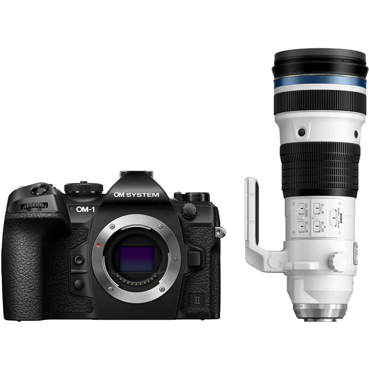 OM System OM-1 Mark II mit M.Zuiko Digital ED 150-400mm F4.5 TC1.25x IS PRO