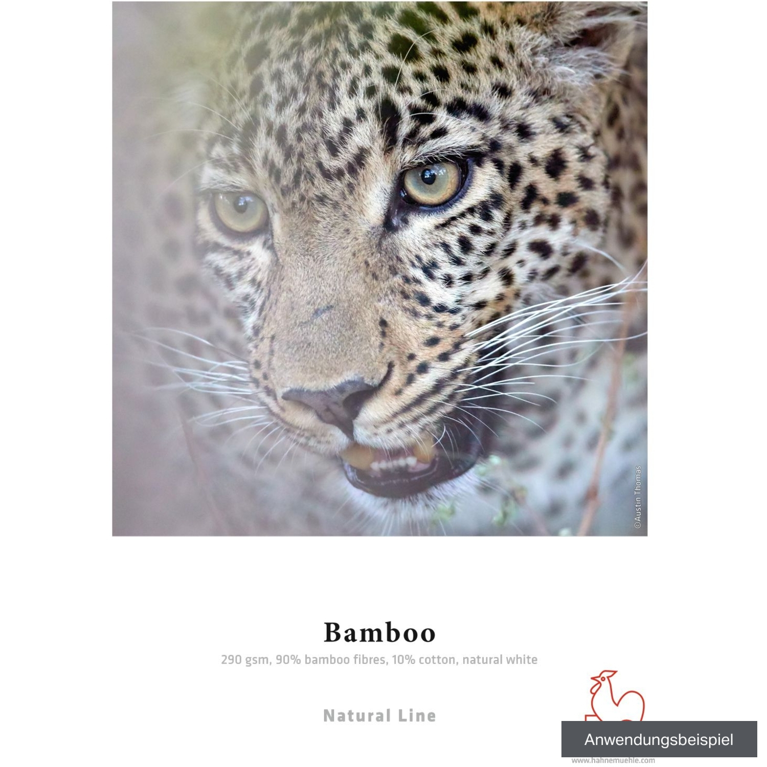 Hahnemühle Bamboo 24" x 5m 290g/m² Rolle