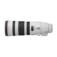 Canon EF 200-400mm F4L IS USM 1.4x Extender