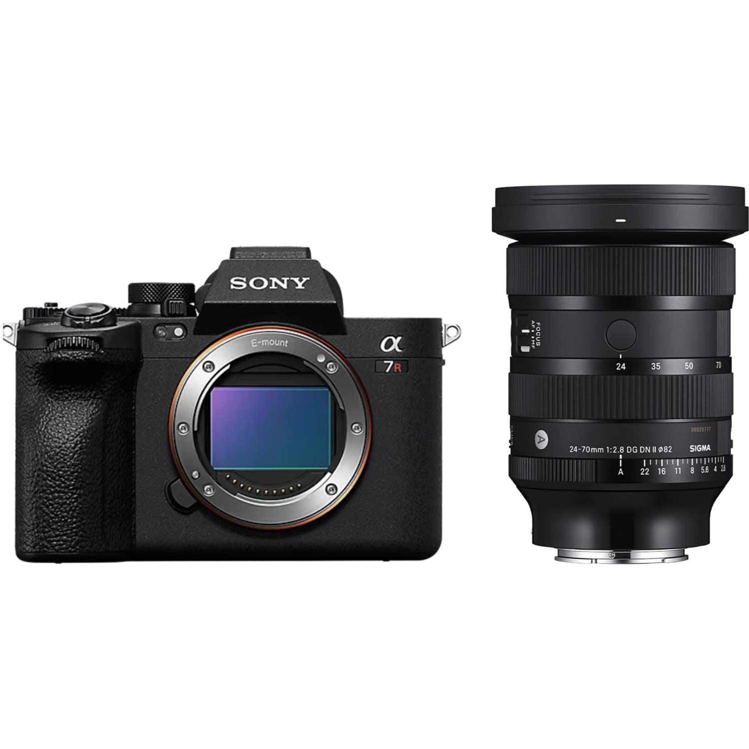 Sony Alpha 7R V mit Sigma 24-70mm F2.8 DG DN II