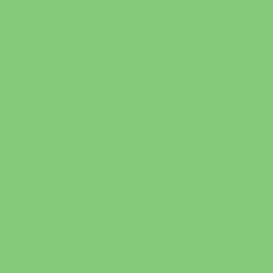 Calumet Hintergrundkarton Summer Green (2,72 x 11m Rolle)
